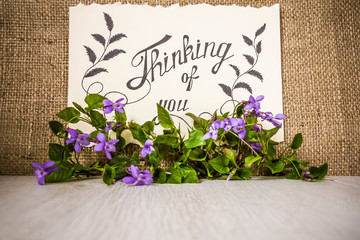  Thinking of you - card.  background with violets 