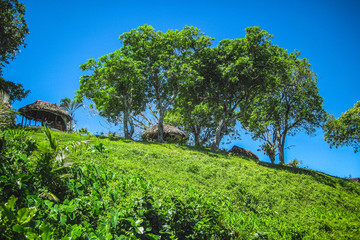 Nature and relax in the area of the famous To Sua Trench in Samoa, Upolu, Pacific island