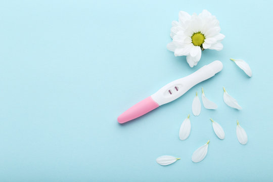 Pregnancy test with chrysanthemum flowers on blue background