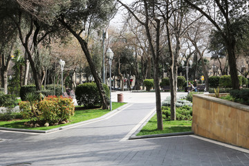 Obraz premium Сity ​​park in the city center. Governor's Park in Baku. 