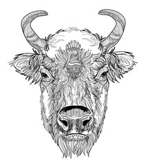 Head of American bison.The cow's head. A cow with big horns and fluffy ears. Drawing manually in vintage style. Meditative coloring. Coloring for children. Arrows, points, patterns, waves.