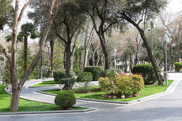 Сity ​​park in the city center. Governor's Park in Baku. 
