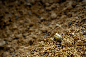 A shot bullet in dirt