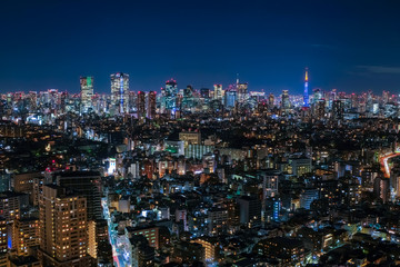 Fototapeta na wymiar 恵比寿ガーデンプレイスタワー 展望台 夜景