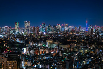 Fototapeta na wymiar 恵比寿ガーデンプレイスタワー 展望台 夜景