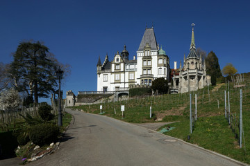Fototapeta na wymiar Schloss Meggerhorn Meggen