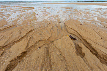 Fototapeta premium texture of sand