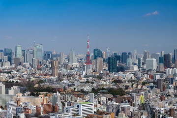 Fototapeta na wymiar 恵比寿ガーデンプレイスタワー 展望台からの景色 東京タワー