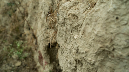 Raw Clay Wall