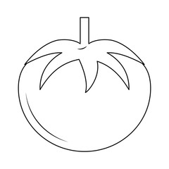 Tomato fresh vegetable in black and white