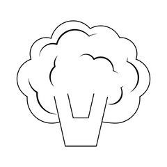 Broccoli fresh vegetable in black and white