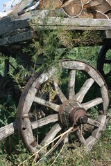 wheel of wagon