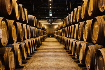 Old aged traditional wooden barrels with wine in a vault lined up in cool and dark cellar in Italy,...