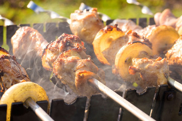 cooking  outdoor activities meat on skewers 