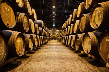 Old aged traditional wooden barrels with wine in a vault lined up in cool and dark cellar in Italy,...