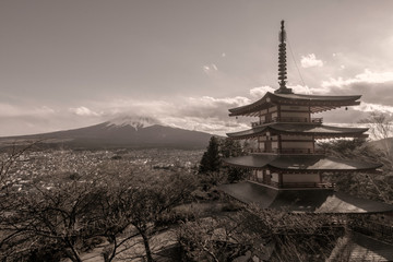 Obraz premium Japan view of Mt Fuji and chureito pagoda in spring season with cherry blossoms concept for fujisan japanese nature landmark, snow on top mountain scenery view, Japan landscape day time in sepia
