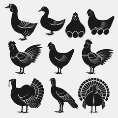 Poultry silhouettes set. Domestic fowls icons