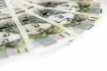 Czech money close-up on the white background