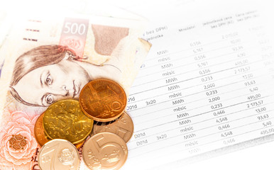 Bill for -  Business Concept - Financial Report and Czech money