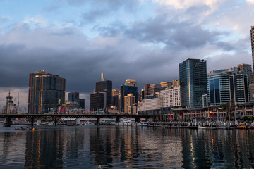 Fototapeta premium darling harbour skyline