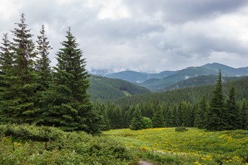 Fototapeta na wymiar Mountain landscape. Carpathians