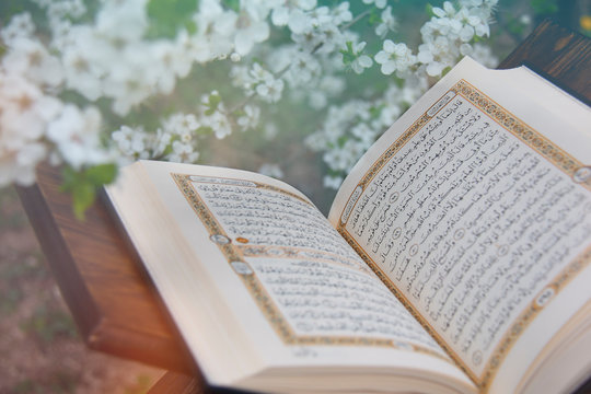 The Holy Quran