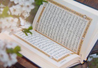 The Holy Quran