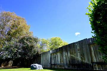Refreshing in the backyard