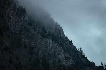 Ghostly giant rocks with trees in thick fog. Mysterious huge mountain in mist. Early morning in mountains. Impenetrable fog. Dark atmospheric eerie landscape. Tranquil mystic atmosphere of wilderness.