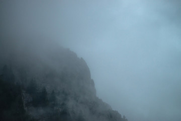 Ghostly giant rocks with trees in thick fog. Mysterious huge mountain in mist. Early morning in mountains. Impenetrable fog. Dark atmospheric eerie landscape. Tranquil mystic atmosphere of wilderness.