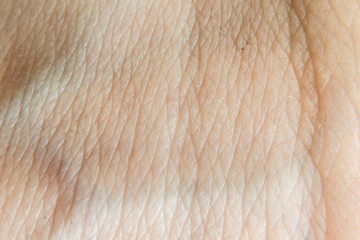 macro photo of a human skin texture b
