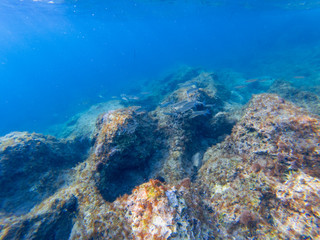 C:\DCIM\104GOPRO\GOPR1620.GPR