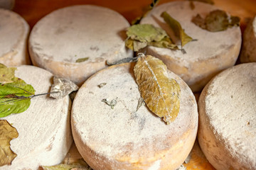 Traditional cheese round in Italy