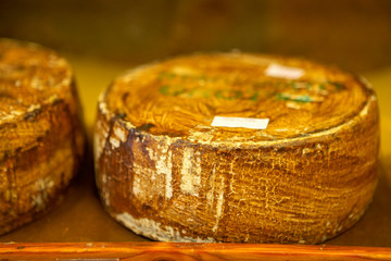 Traditional cheese round in Italy