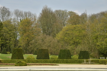 Les haies demi-cubiques en rangée dans le Jardin Français du parc de Tervuren