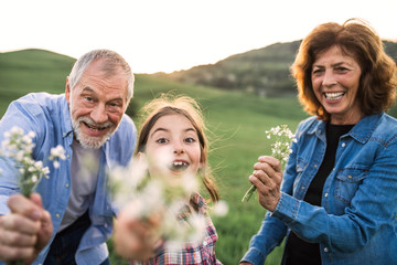 A small girl with her senior grandparents holding flowers outside in nature.