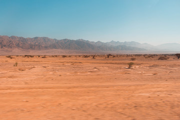 Fototapeta na wymiar Middle of the desert in Israel