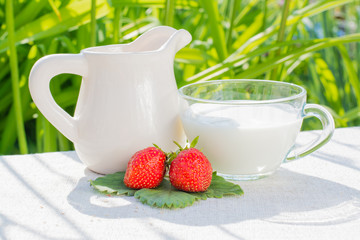 Strawberry berries and leaves, a jug and a cup with milk on a napkin on a background of grass