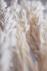 Fototapeta premium fondo