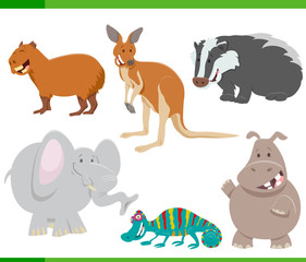 wild animal characters cartoon set