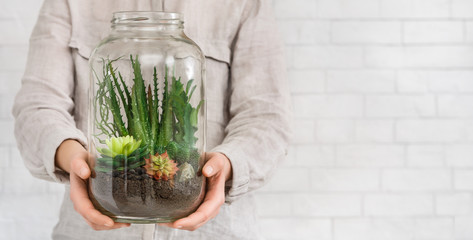 Woman holding jar with succulent plants, copy space