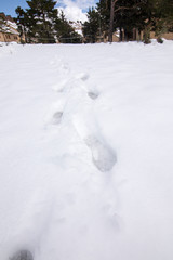 Footprints Covered Valdelinares pistes on April 2018 Teruel Aragon Spain