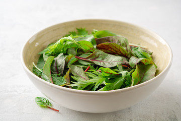 Fresh Chard and Mizuna leaves in bowl on gray concrete background. Selective focus.