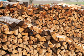 Aufgeschichtete Holzsscheite am Waldrand