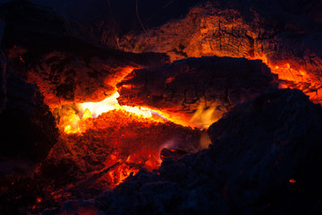 Fire Dragon Head