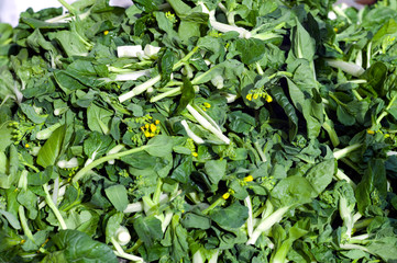 loose baby bok choy at farmers market