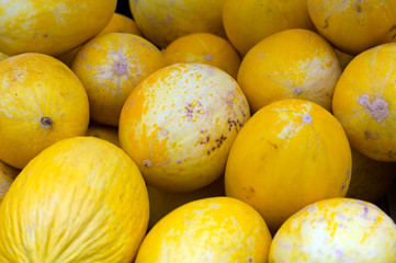 canary melon at farmers market