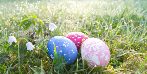 Spring meadow with easter eggs