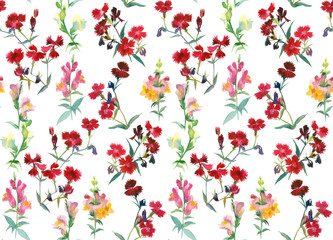 Snapdragon and carnation flowers  on white background