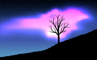 Fototapeta na wymiar Night landscape of Dry tree and pink aurora.